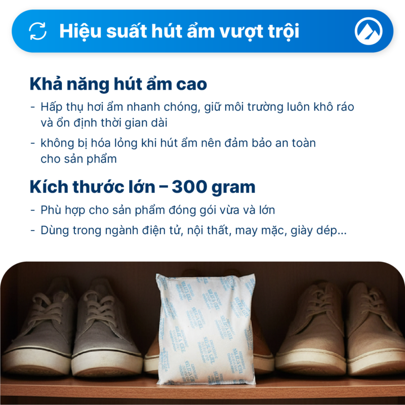 túi hút ẩm 300g
