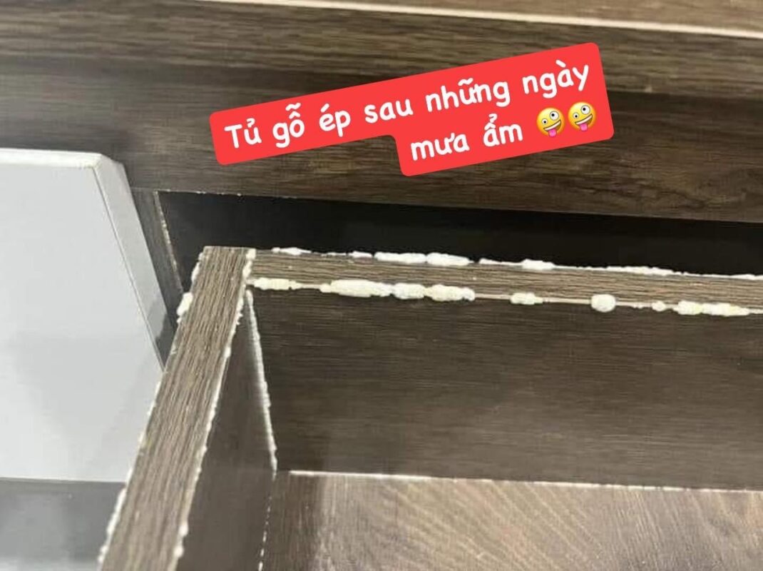 Gói hút ẩm Thiên Sơn