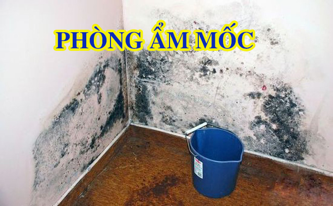 393260472 749106623896529 3712909876583637541 n