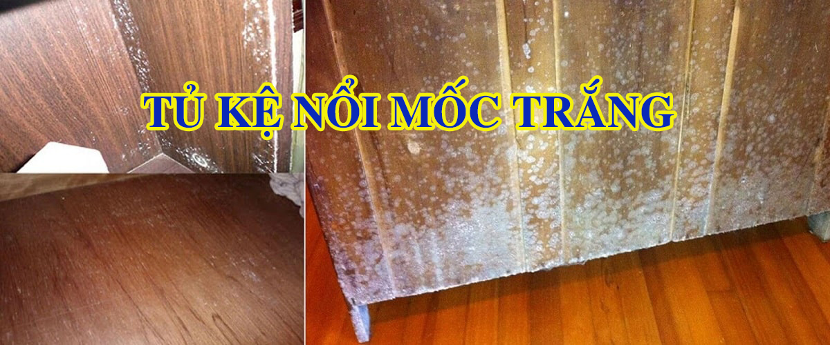 393347064 749106897229835 770981808072411884 n