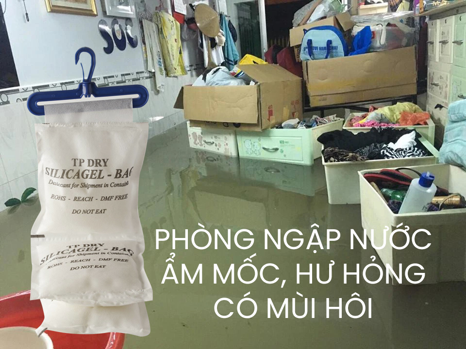 393651634 749107267229798 8098382568298055573 n