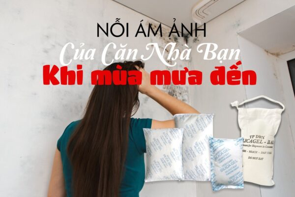 5f72d0ebd7cb3264a83f3145 tieu chuan api