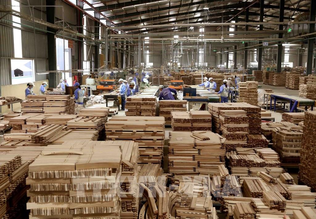 183730 75 nam thiet lap quan he ngoai giao viet nam sec 2 2 1950 2 2 2025 doi tac hop tac truyen thong huu nghi