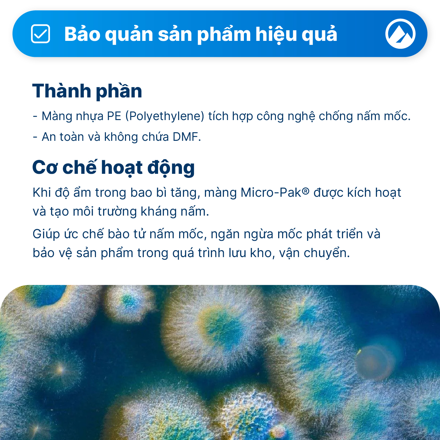 Màng Chống Mốc Micro-Pak PE Sheets Chính Hãng - Ảnh 4