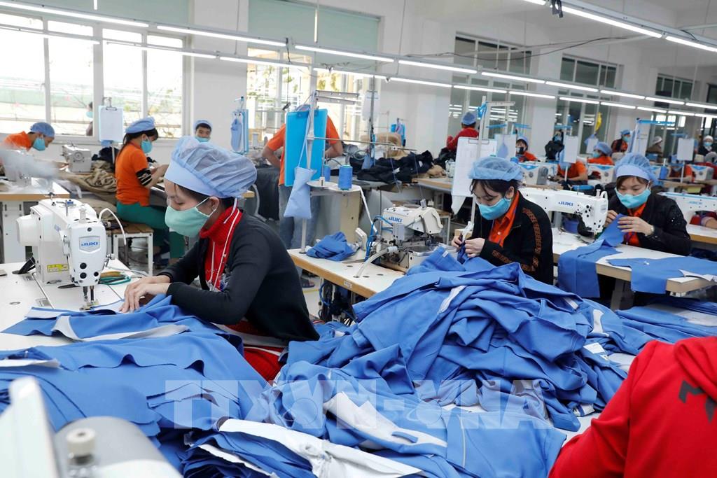 Chống nấm mốc hàng dệt may xuất khẩu